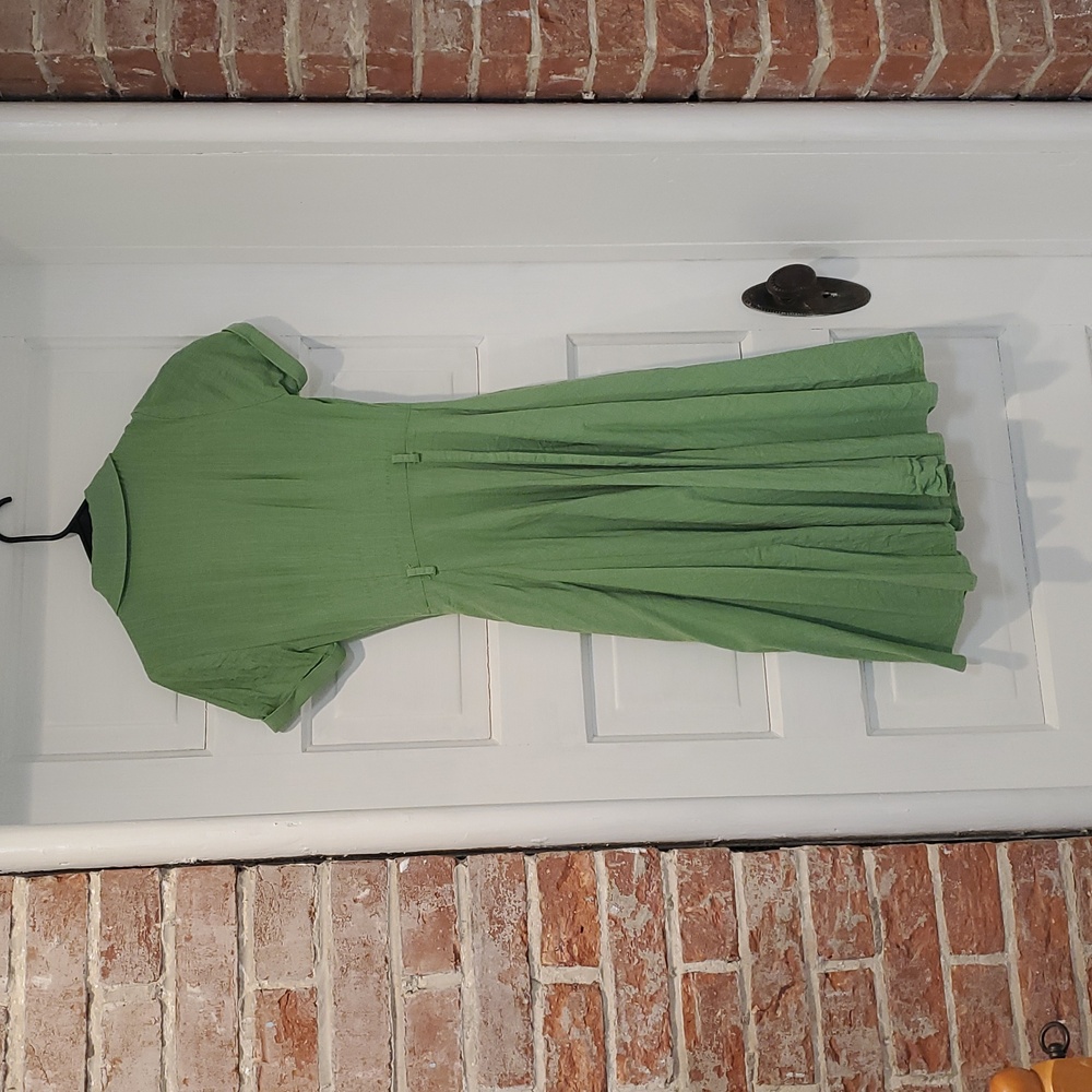 Collectif x Modcloth Caterina Swing Dress - Picture 3 of 3